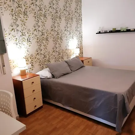 Cerca De La Ciudad De Ciencias 발렌시아