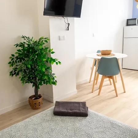 Apartment Boho Flats