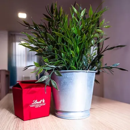 Flats Burjasot * Valência