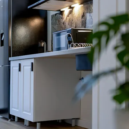 Appartamento Cr - Loft - Moderno Y Coqueto Estudio Duplex Cerca De Avenida Francia Y Ciencias Valenza