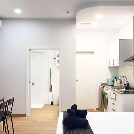 New - La Puerta De Olivo *