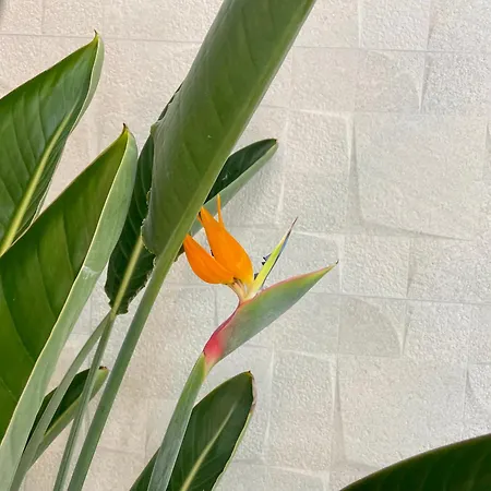 Hotel Md Design - Portal Del Real Valencia