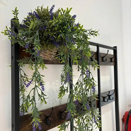 Paraiso Natural Unico -villa Cueva Turche Πανδοχείο *