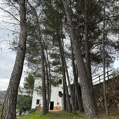 אורחן Paraiso Natural Unico -villa Cueva Turche ולנסיה