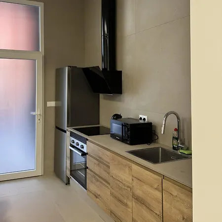 Basset 3 Apartamento Valência