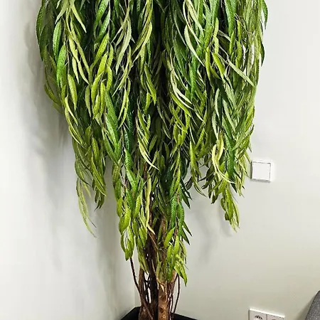 Vacansis Bajo Torrefiel 公寓