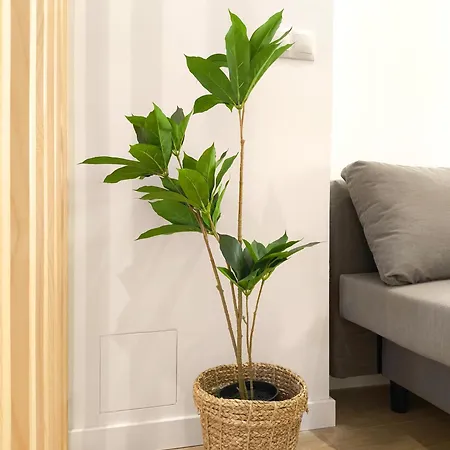 The Sunshine * バレンシア