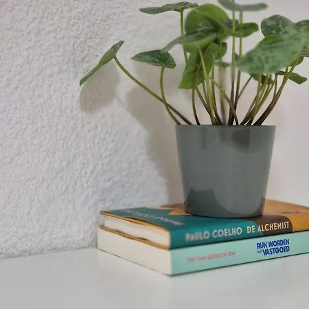 Pansiyon Need Valensiya