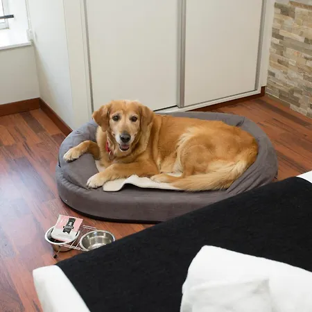 Casual Vintage מלון ולנסיה