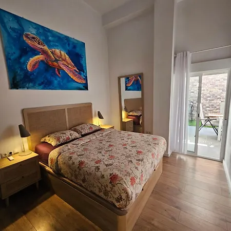 Bear Homes - Olimpia