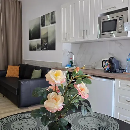 Vicent Clavel Apartment *