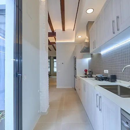 Διαμέρισμα Invalencia Alberic Jungle R Big House Stylish 3 Bdr & 3 Wc With Private Terrace Βαλένθια