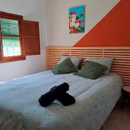 Buganvilla فالنسيا