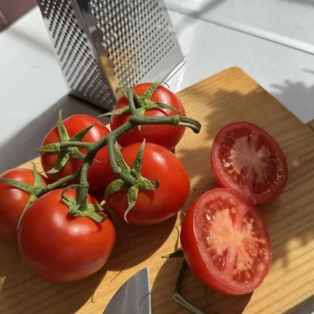 Singularstays El Grao V