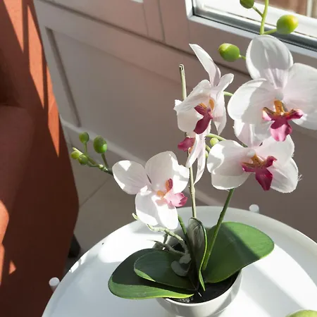 Apartman Singularstays Mar44 Terrace