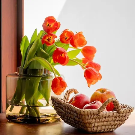 Con Patio Playa Cabanyal * 瓦伦西亚