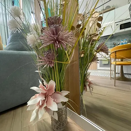 Lounge Garden Sea Mint Fresh *