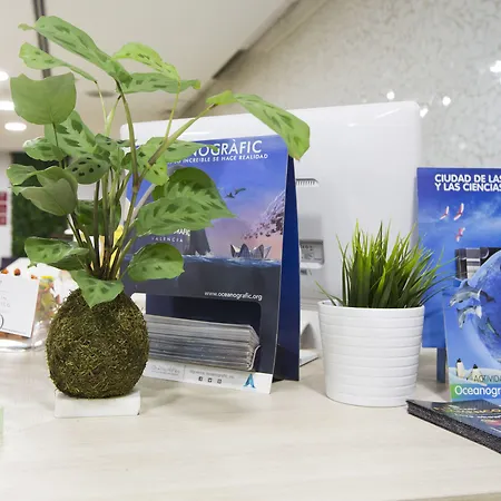 & Co. J. Botanico Boutique 3* Valencia