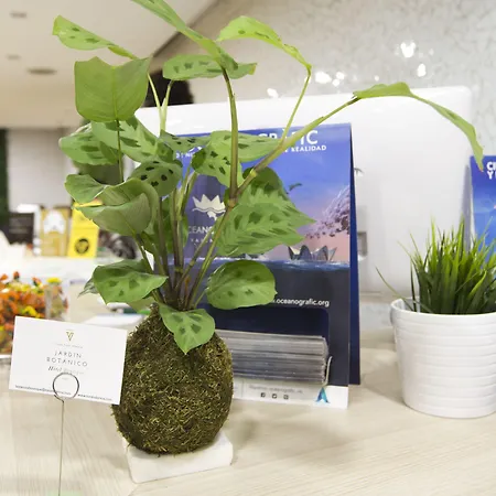 & Co. J. Botanico Boutique Szálloda Valencia