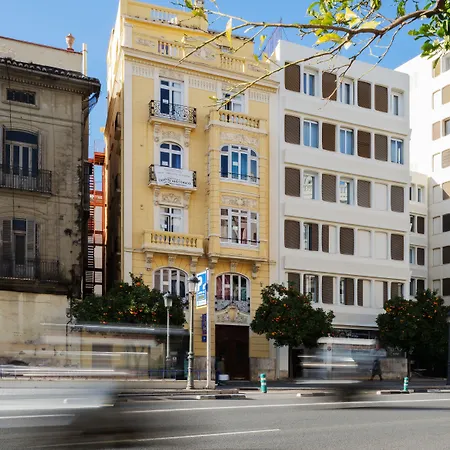 Purple Nest Vandrarhem *