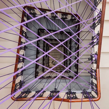 Vandrarhem Purple Nest