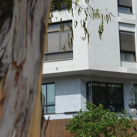 Md Modern - Jardines