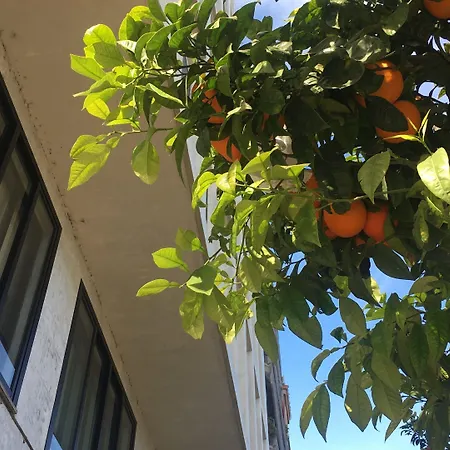 Hotel Md Modern - Jardines