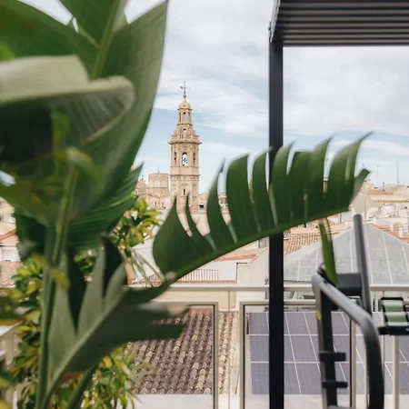 Mate Cosmo - Centre, 3* 瓦伦西亚