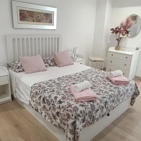 Hanna's House 公寓 瓦伦西亚