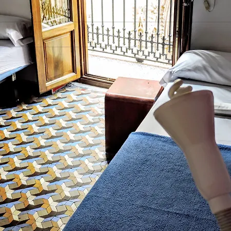 유스 바이 핏업 발렌시아