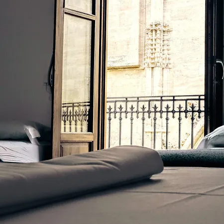 유스 바이 핏업 발렌시아