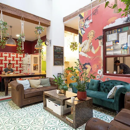 유스 바이 핏업 *