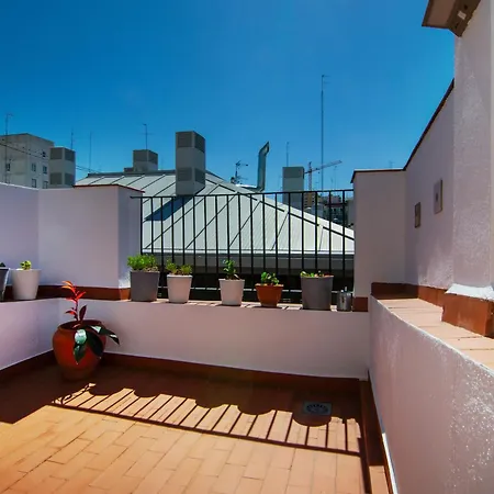 Vlc Host - Poeta Llombart Valência