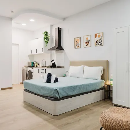 New - La Puerta De Olivo * 발렌시아