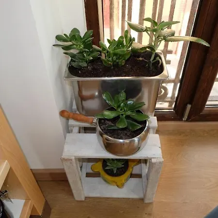 Gæstehus Balcon Al Mar