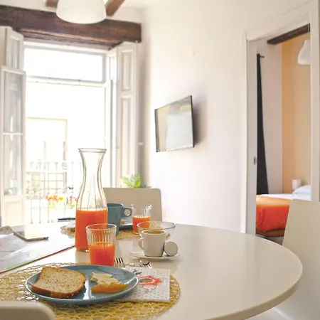 Down Town Apartament *