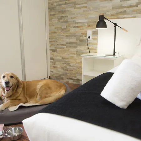 Casual Vintage מלון ולנסיה