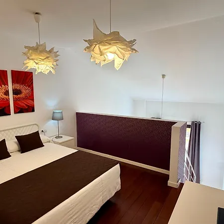 Petit Palomar - Palomargroup