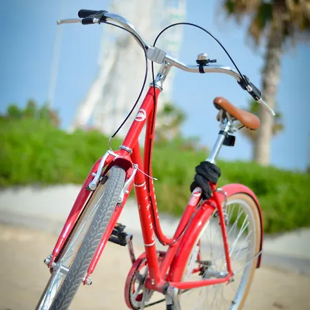 Zalamera فالنسيا