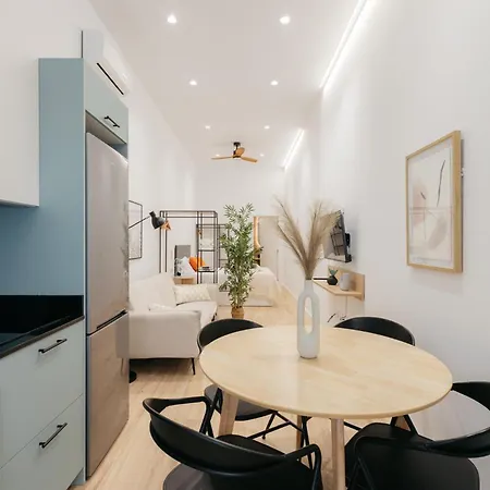 Elegant Loft In Apartman Valencia