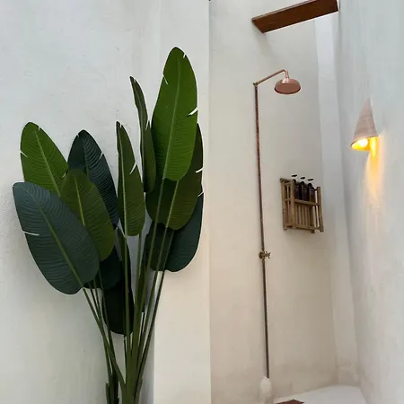 Acogedor Frente A Plaza De La Iglesia * バレンシア