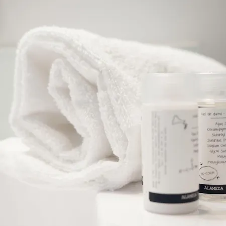 Sercotel Alameda 41 4* Valencie