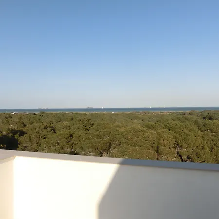 & Co. Saler Boutique 3* ולנסיה