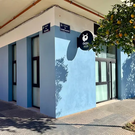 Lejlighed Osito Hub - Campoamor