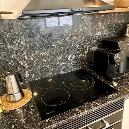 Across From The Turia Modern Valencia