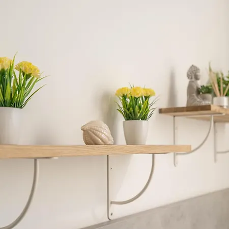 Vlc Yako Валенсия