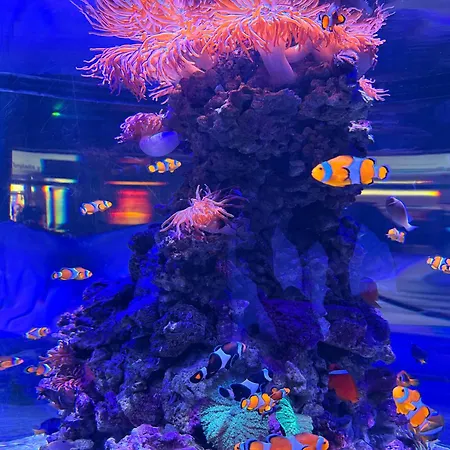 民宿 Geniale Cerca De Russafa 瓦伦西亚