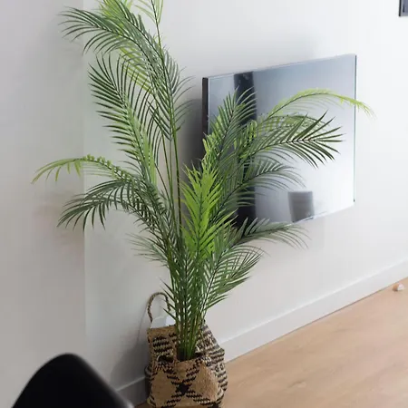 Leones By Concept Flats Apartment