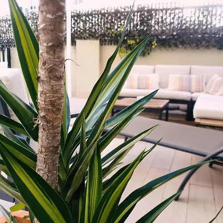 Guest house Zalamera 4*