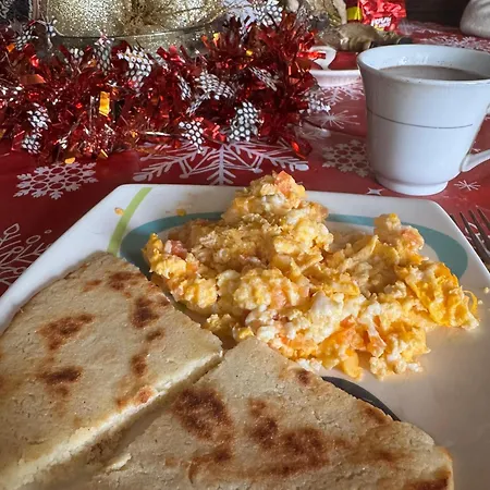 Hogar Mediterraneo منزل للإقامة فالنسيا